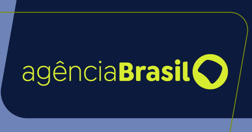 Resgatados do tráfico, 12 filhotes de arara nascem em São Paulo