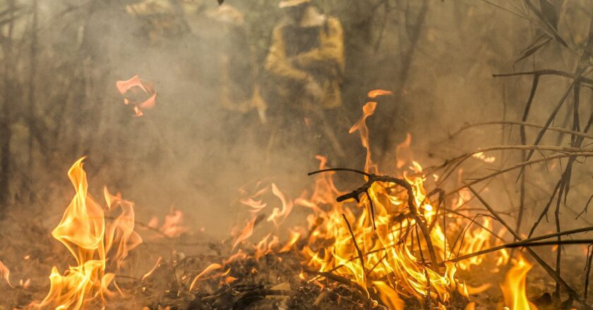 Combate a incêndios pode ser feito por pilotos e aviões estrangeiros 