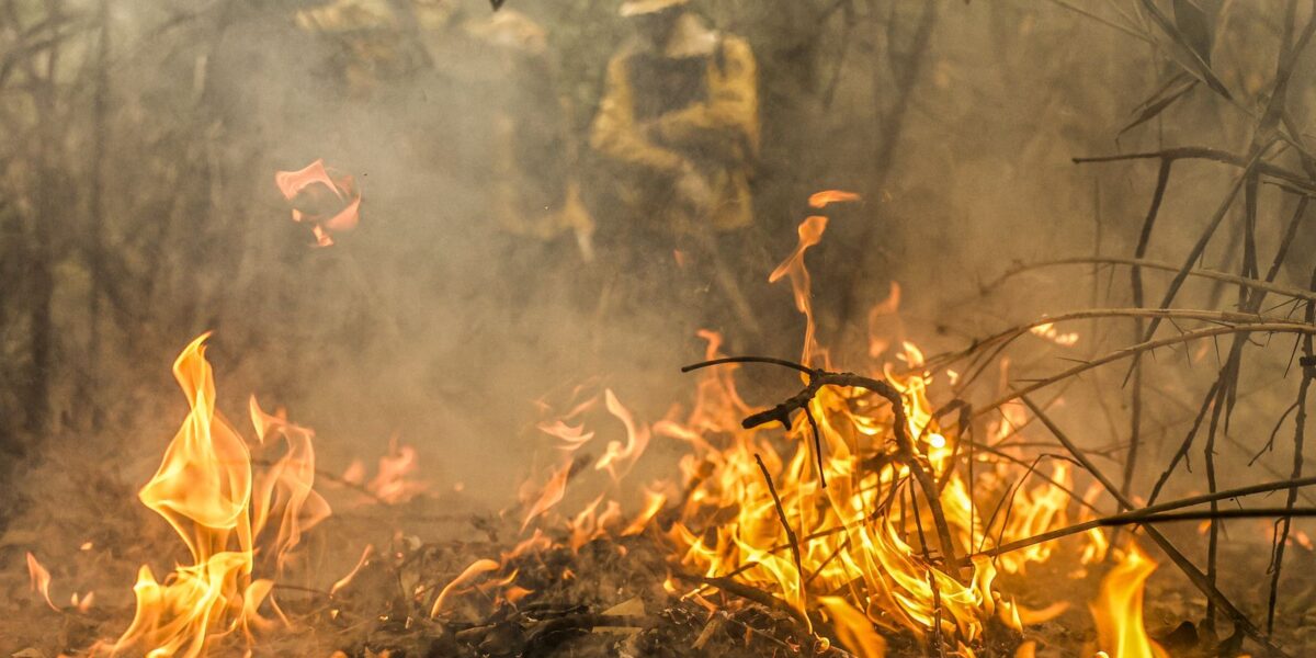 Combate a incêndios pode ser feito por pilotos e aviões estrangeiros 