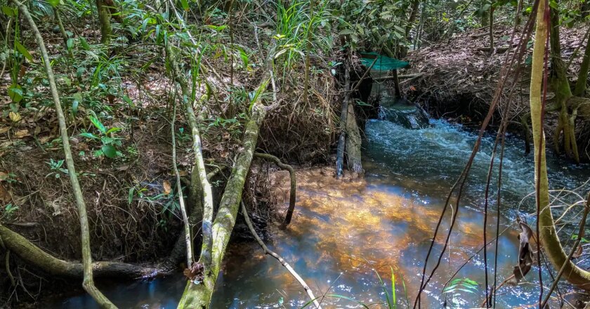 Estudo aponta impacto negativo de mudanças climáticas na agricultura