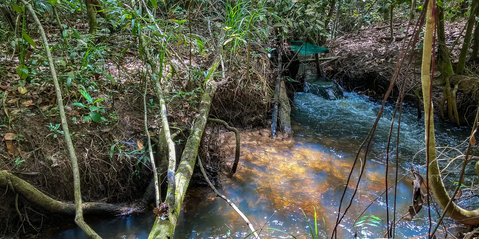 Estudo aponta impacto negativo de mudanças climáticas na agricultura