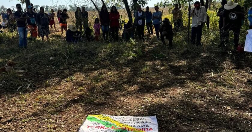 Funai recorre de decisão que impede assistência a indígenas no Paraná