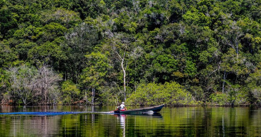 Hepatite Delta avança entre ribeirinhos no Amazonas