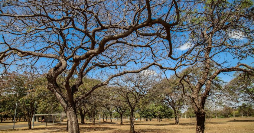 Inmet alerta sobre baixa umidade no Centro-Oeste e no Tocantins