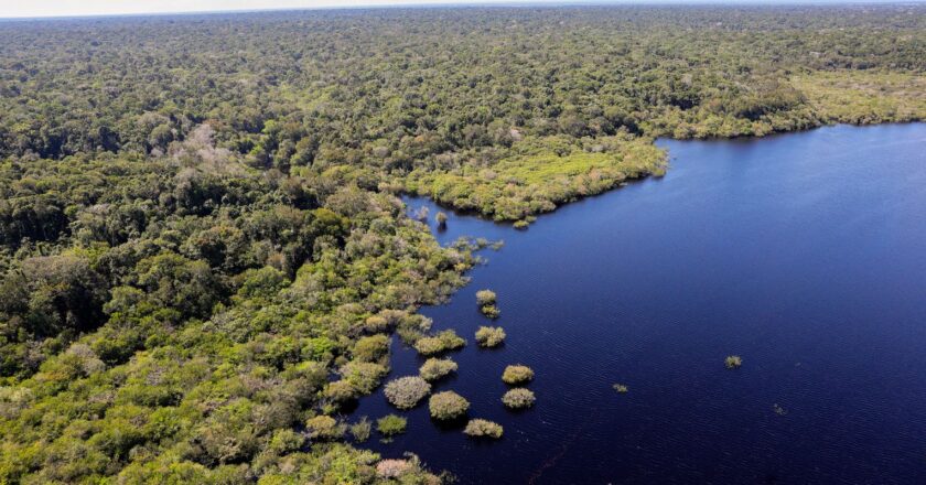 União Europeia fará doação de R$ 120 milhões ao Fundo Amazônia