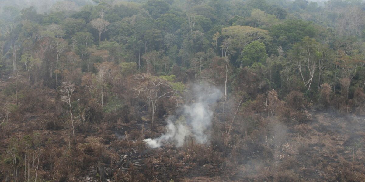 Amazônia tem 2,5 milhões de hectares queimados em agosto