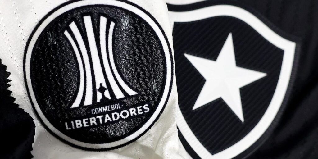 Botafogo irá banir torcedor que cometeu racismo contra Palmeiras