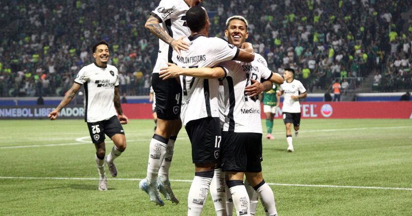 Botafogo segura empate com Palmeiras e avança na Copa Libertadores