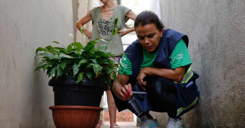 Brasil se aproxima de 5 mil mortes por dengue em 2024