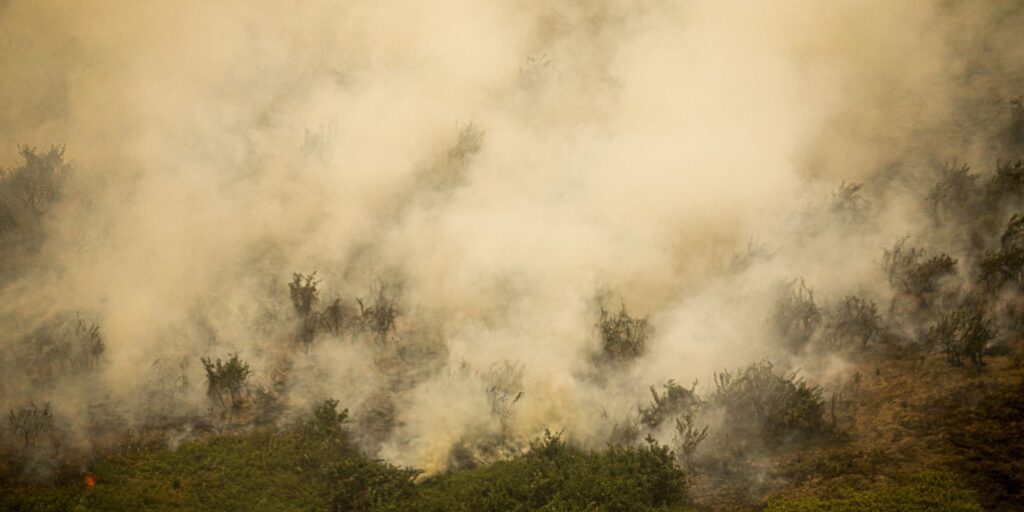 Defesa Civil de SP emite alerta para risco de incêndios florestais