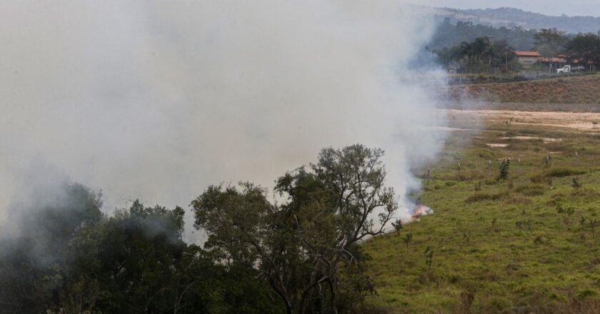 Fundo auxiliará produtores rurais atingidos por incêndios em SP