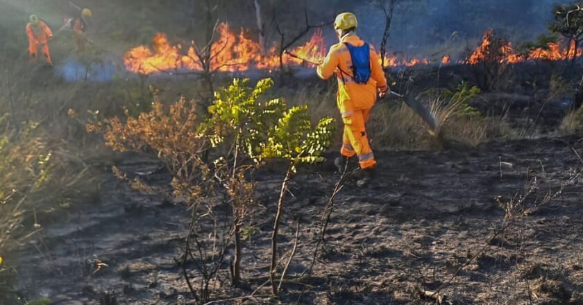 Incêndios atingem milhares de hectares em parques de Minas Gerais