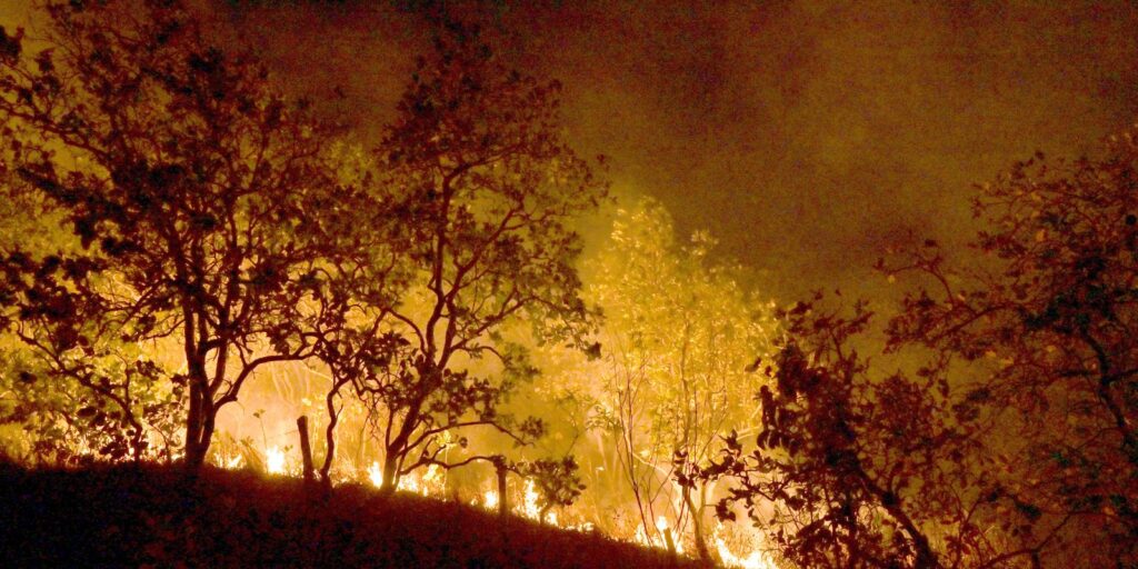 Incêndios: governo vai concentrar ações em 21 municípios da Amazônia