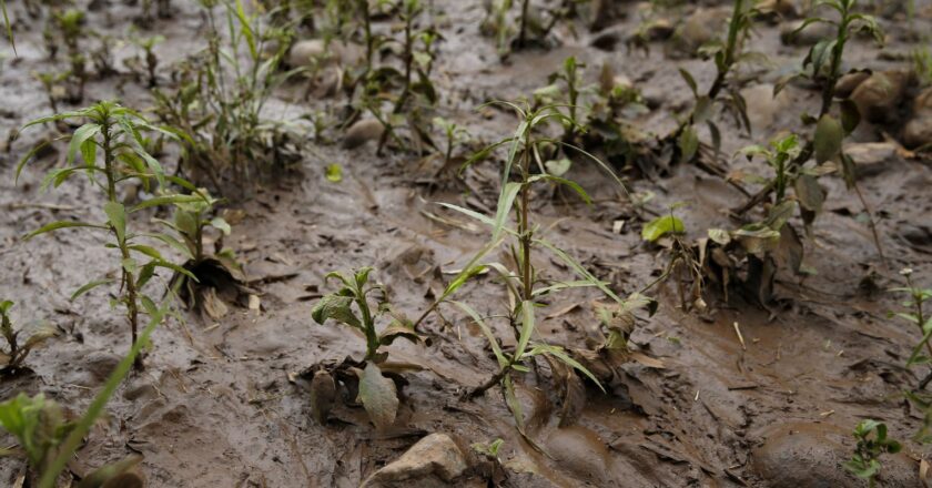 Mariana: vítimas pedem que governo rejeite acordo de mineradoras