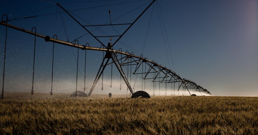 Projeto que permite irrigação em área de proteção recebe críticas