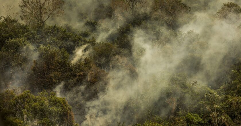 Rondônia declara situação de emergência por incêndios florestais