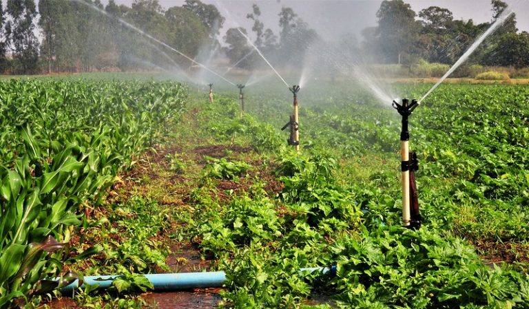 Adiado debate sobre descontos de energia elétrica em atividades de irrigação e aquacultura - Notícias