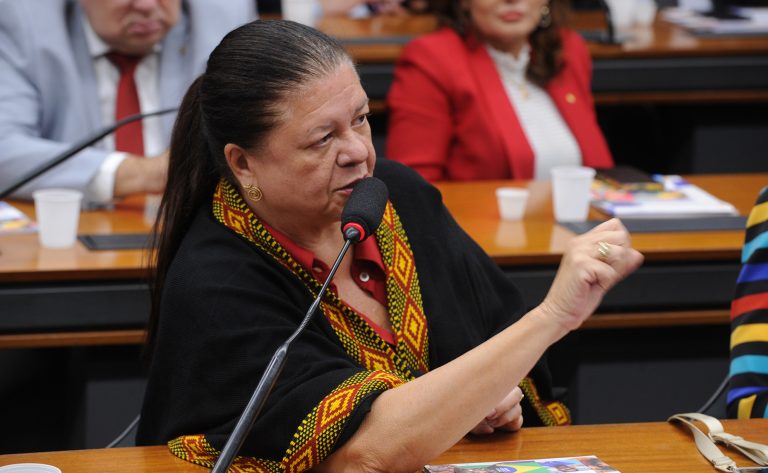 Deputada Laura Carneiro (PSD-RJ) na Comissão de Previdência, Assistência Social, Infância, Adolescência e Família da Câmara dos Deputados
