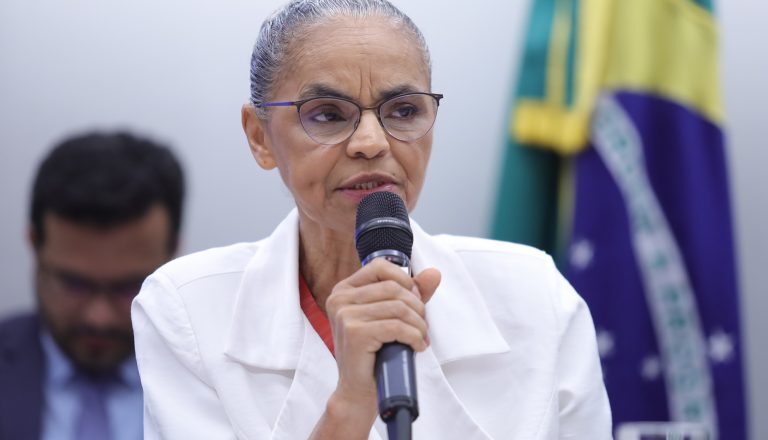 Comissão de Agricultura ouve ministra Marina Silva sobre queimadas e desmatamento – Notícias