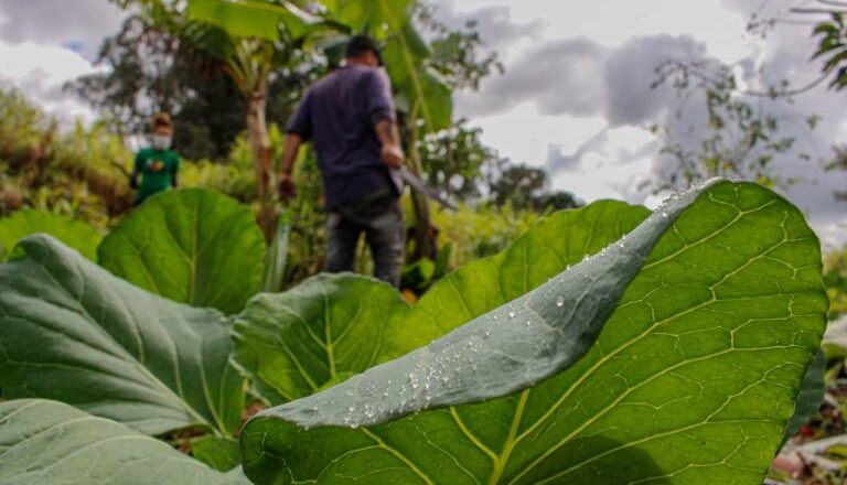 Comissão de Meio Ambiente debate cooperativismo e sustentabilidade em audiência pública – Notícias