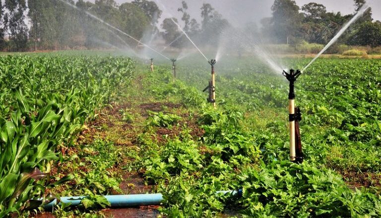 Comissão debate descontos de energia elétrica em atividades de irrigação e aquacultura – Notícias