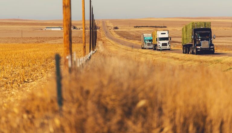Comissão promove seminário sobre relações trabalhistas no transporte rodoviário de cargas – Notícias
