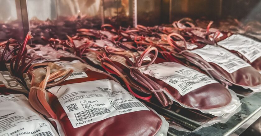 Dia Mundial do Doador de Sangue: uma única doação pode salvar 3 vidas