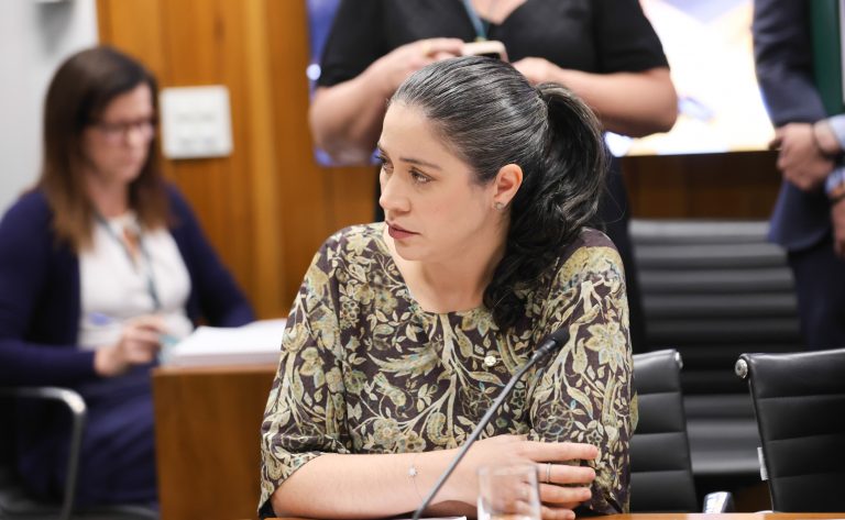 Reunião de Líderes. Dep. Iza Arruda (MDB - PE)