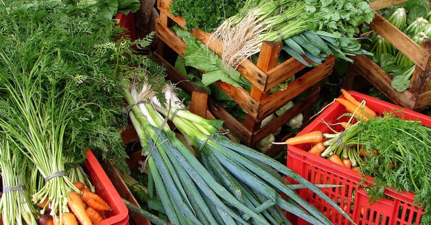 Câmara aprova recriação de Programa de Aquisição de Alimentos