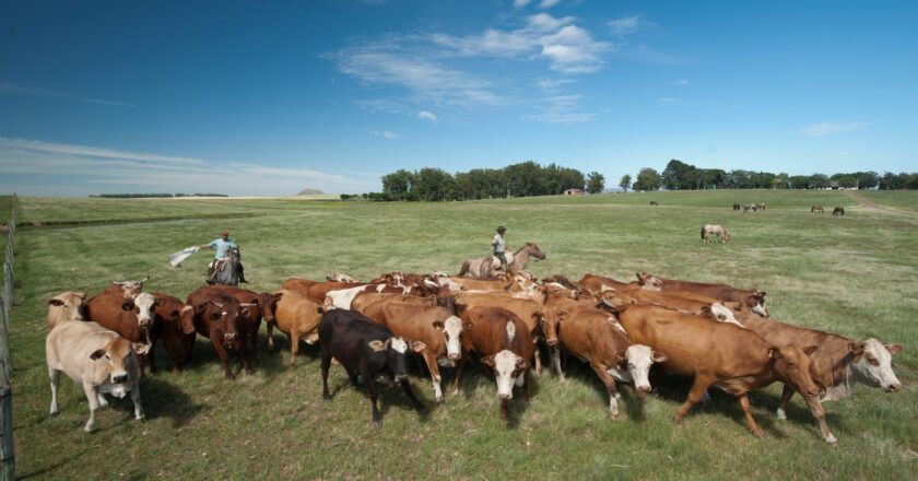 Reino Unido levanta restricciones a la carne brasileña