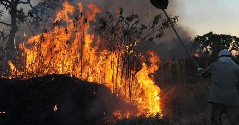 Amazonía concentra 90% del área con focos de incendio en 1er bimestre