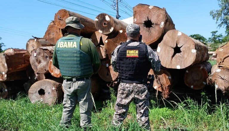Governo do Brasil apreende madeira ilegal em terra indígena e destina a órgãos públicos