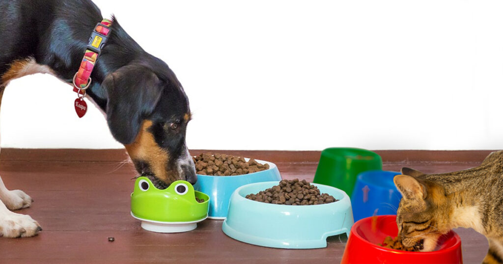 422º novo mercado: Japão vai comprar 'pet food' produzida no Brasil