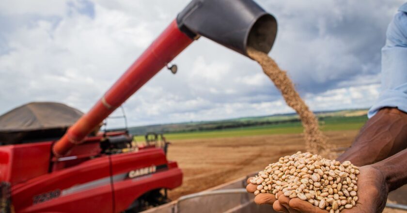 El calentamiento global afectará a la producción de frijoles en Brasil