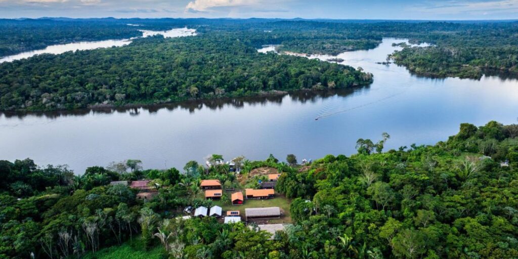 BNDES lança edital voltado para recuperação da floresta amazônia