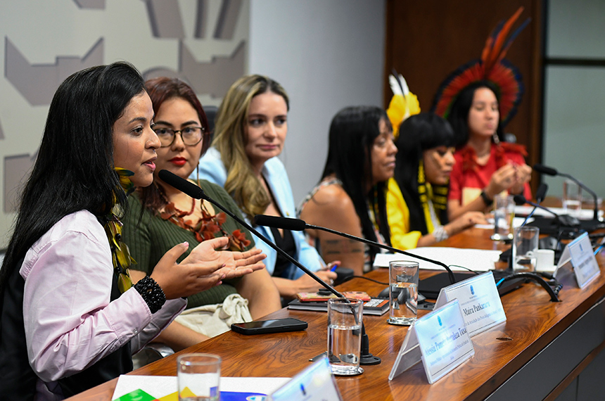 CDH: atendimento à mulher indígena vítima de violência deve respeitar especificidades