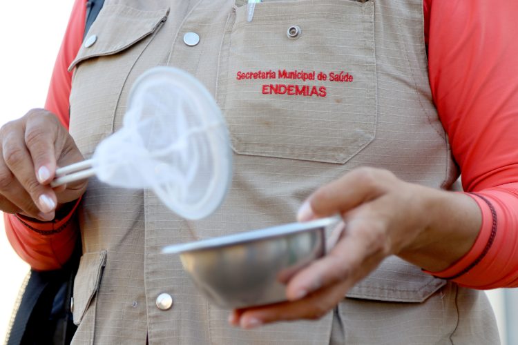 Casos de dengue apresentam estabilidade em Londrina