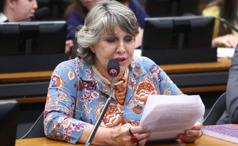Discussão e votação de propostas legislativas. Dep. Erika Kokay (PT-DF)