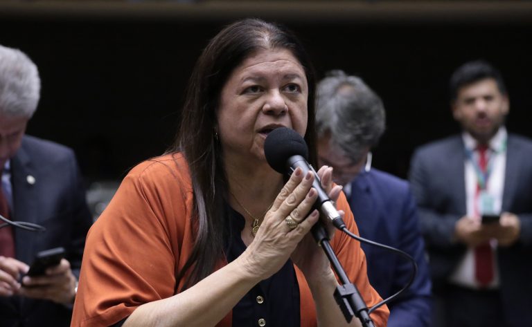 Discussão e votação de propostas legislativas. Dep. Laura Carneiro (PSD - RJ)