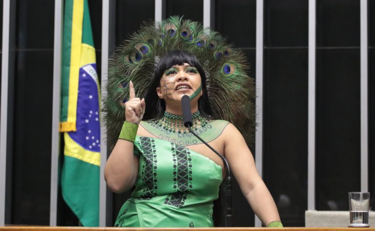 Deputada Célia Xakriabá fala ao microfone