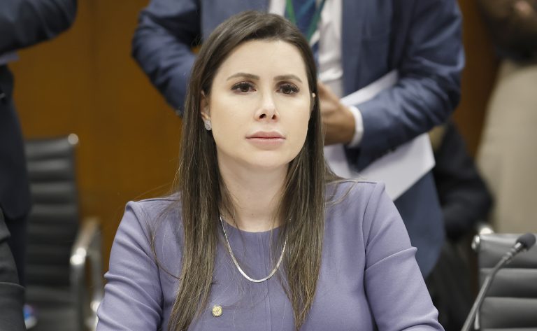 Reunião de Líderes. Dep. Caroline de Toni (PL - SC)