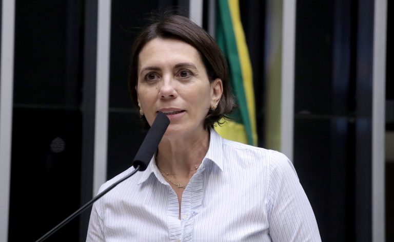 Discussão e votação de propostas. Dep. Rosana Valle (PL-SP)
