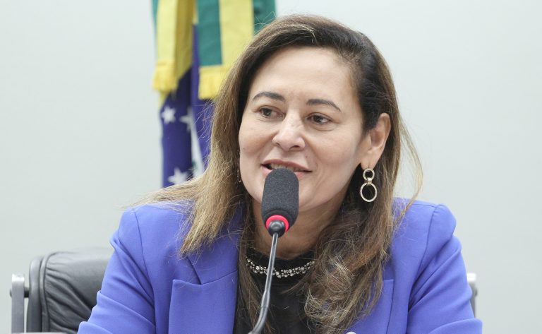 Deputada Dilvanda Faro (PT-PA) fala em comissão da Câmara dos Deputados