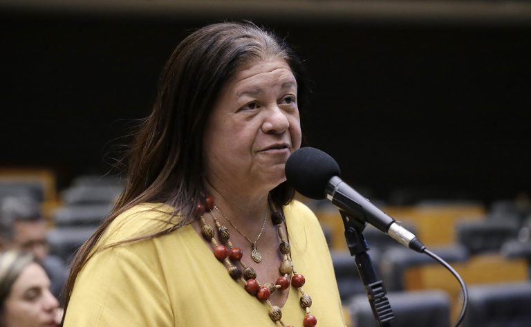 Discussão e votação de propostas legislativas. Dep. Laura Carneiro (PSD-RJ)