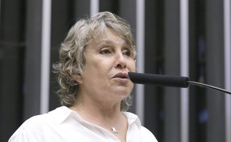 Discussão e votação de propostas legislativas. Dep. Erika Kokay (PT - DF)