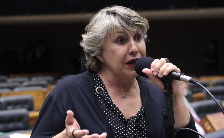 Deputada Erika Kokay (PT-DF) fala no Plenário da Câmara dos Deputados