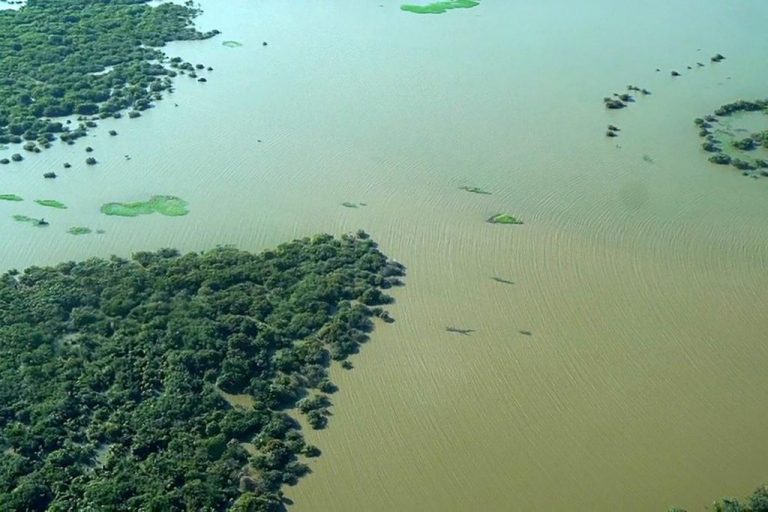 Foto aérea do Rio Tapajós