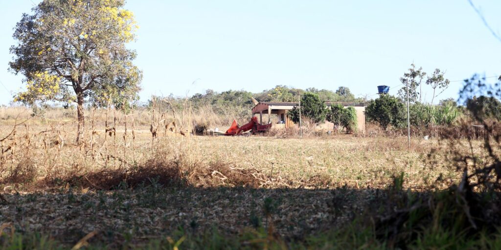 Defesa de fazendeiros em Goiás contesta decisão sobre quilombolas