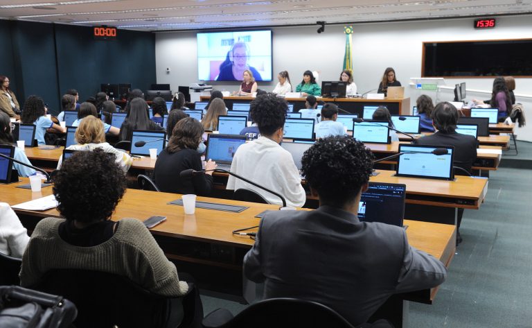 Audiência Pública - Crimes cometidos contra mulheres em ambientes digitais
