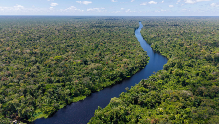 Dia da Amazônia: Brasil se prepara para receber o mundo na COP 30 em Belém